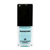 عطر جیبی مردانه وودی سنس مدل Maginationo با رایحه شیرین و چوبی حجم 15 میلیلیتر